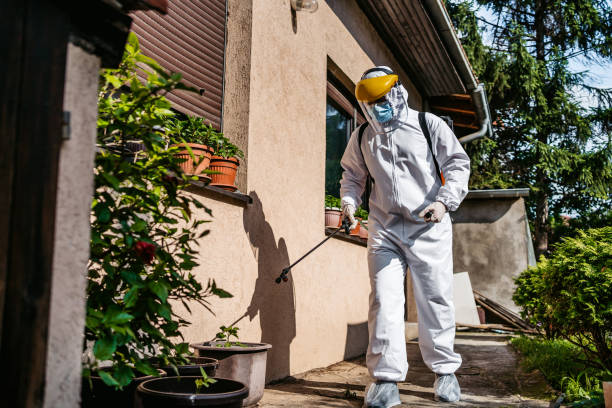 Best Pest Control for Homes  in Kennewick, WA